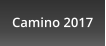 Camino 2017